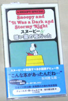 暗い嵐の夜だった